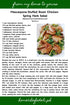 Optimus Mascarpone 500g - Home Chef's Deli
